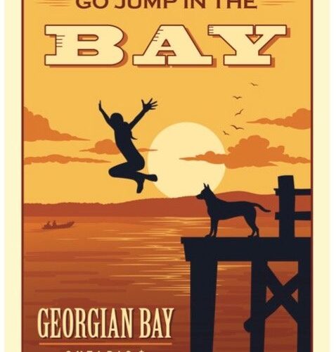 Silhouette of a person jumping into water at sunset by a dock and dog.