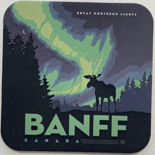 Silhouette of a moose with northern lights over Banff National Park.