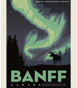 Northern lights over Banff with a moose silhouette.