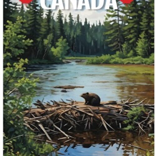 A beaver sits on its dam in a lush Canadian forest.