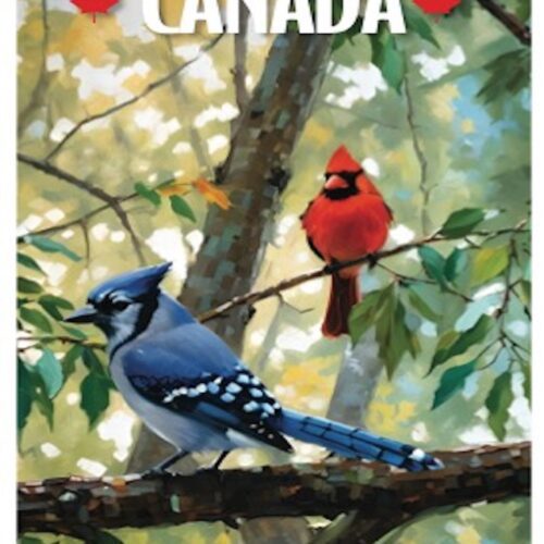 A blue jay and a cardinal perched on a tree branch in a natural setting.