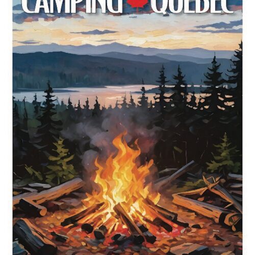 Cozy campfire burning in a forest with mountains and a lake in the background.