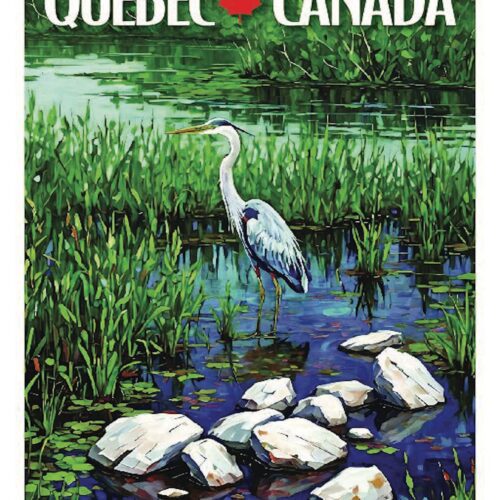 A heron standing in a serene wetland surrounded by rocks and greenery.