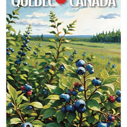 Blueberry plants in a scenic Quebec landscape by a lake.